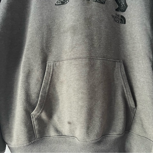 The North Face Men's Bear Mountainscape Pullover Hoodie Sweatshirt Large - Picture 3 of 13